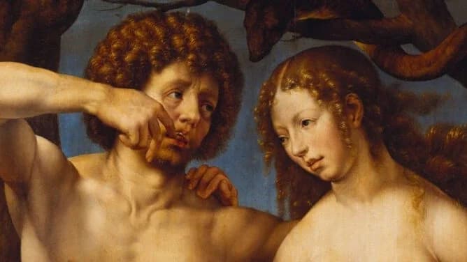Theology of the Body